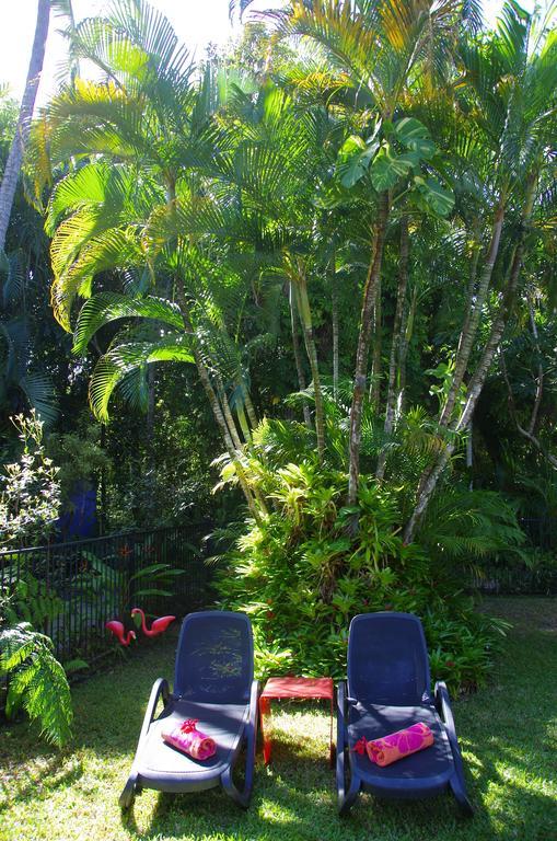 Pink Flamingo Resort Port Douglas Bagian luar foto