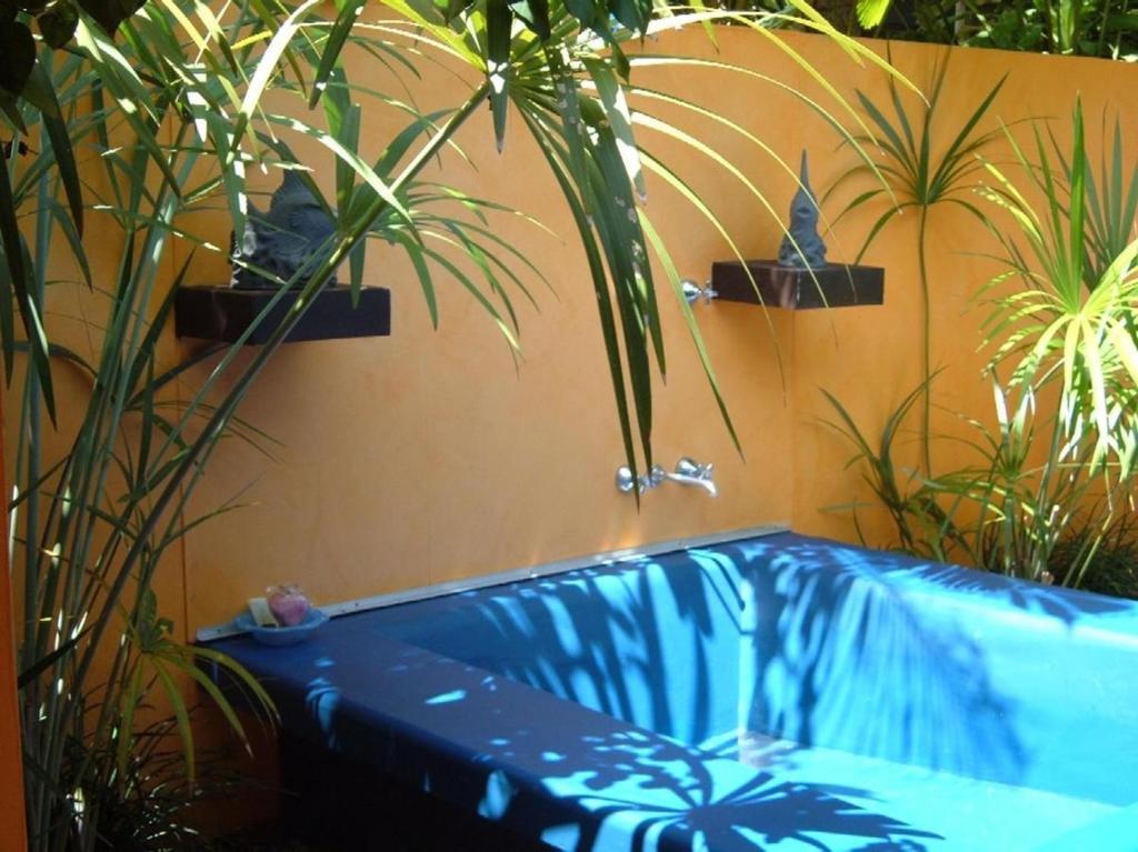Pink Flamingo Resort Port Douglas Bagian luar foto