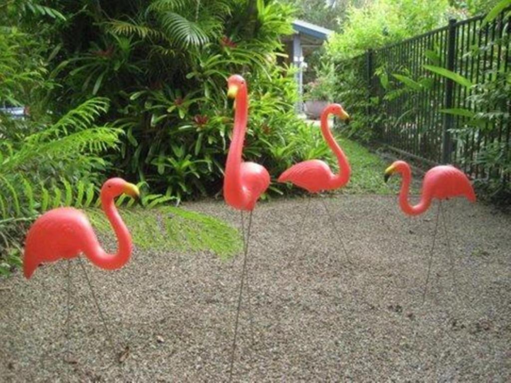 Pink Flamingo Resort Port Douglas Bagian luar foto