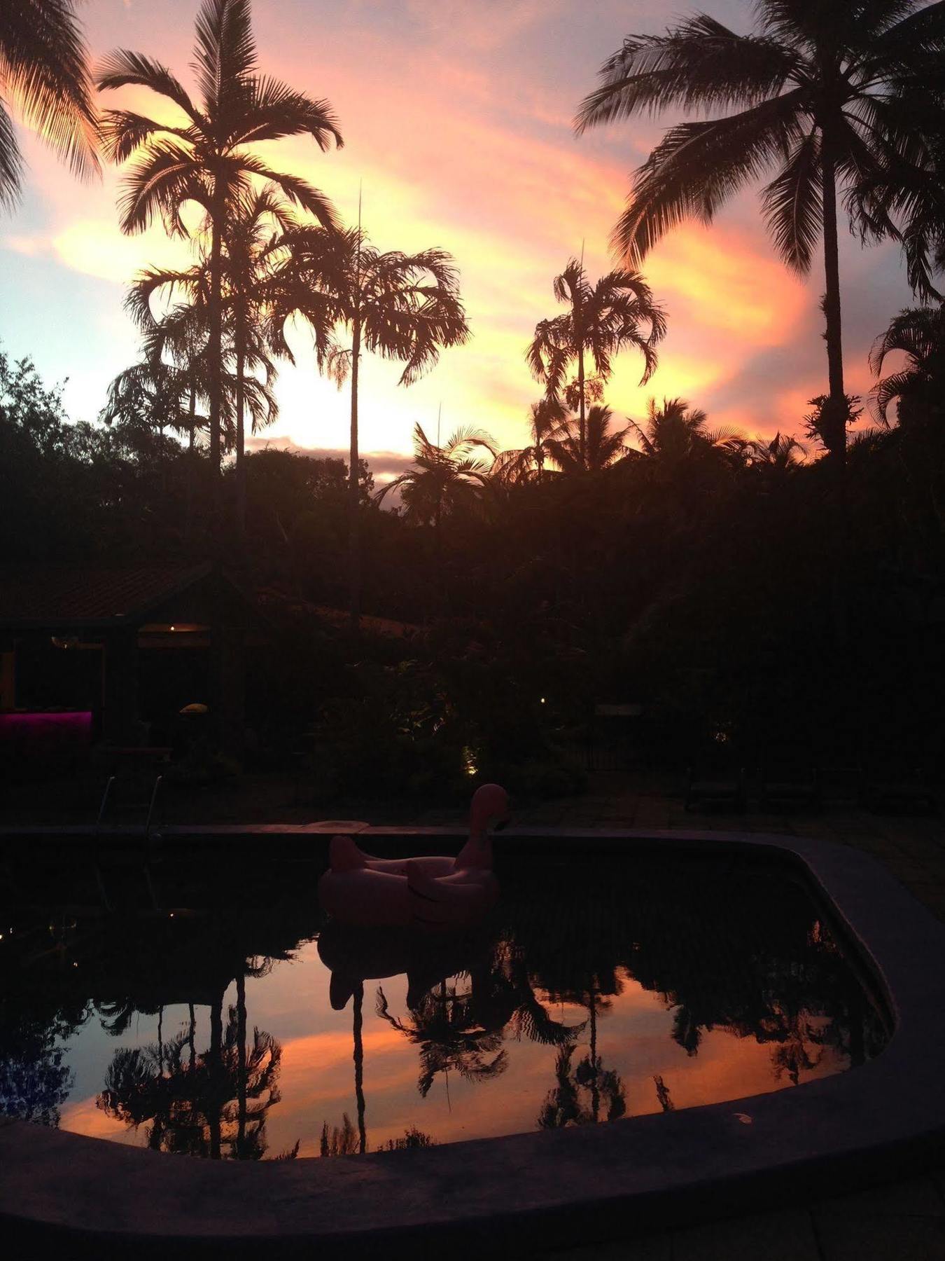 Pink Flamingo Resort Port Douglas Bagian luar foto