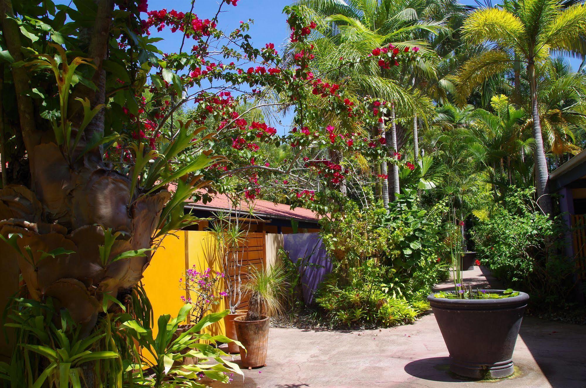Pink Flamingo Resort Port Douglas Bagian luar foto