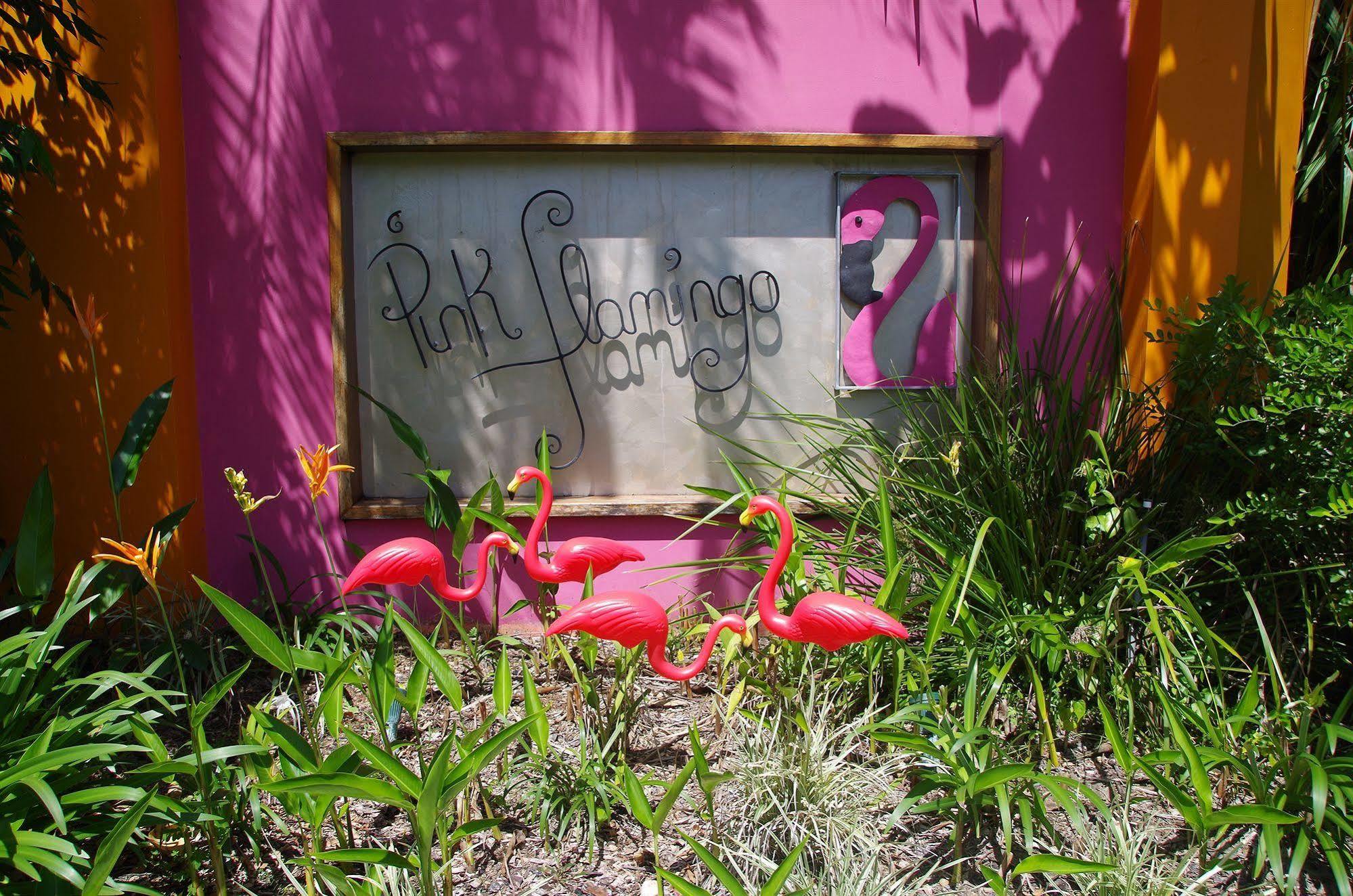 Pink Flamingo Resort Port Douglas Bagian luar foto